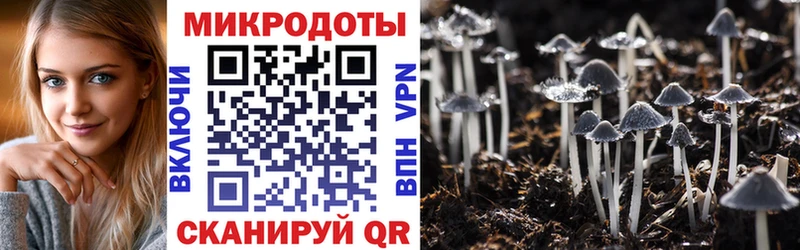 закладка  Петровск-Забайкальский  darknet как зайти  Псилоцибиновые грибы Psilocybine cubensis  ссылка на мегу онион 